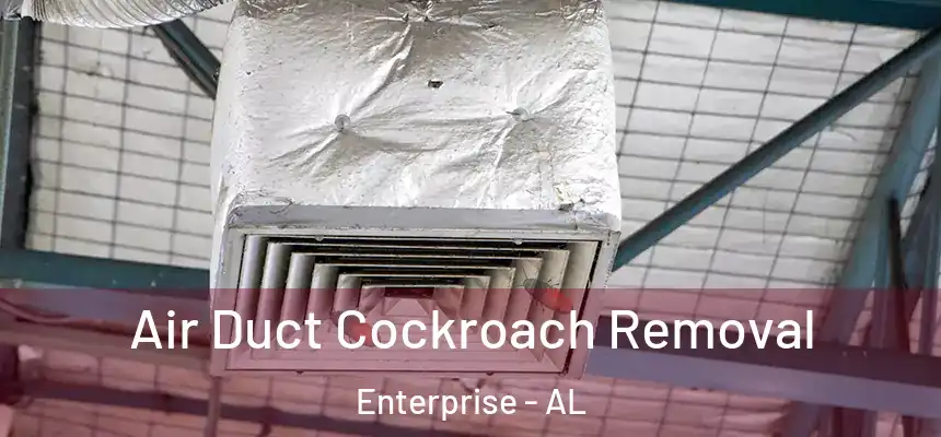  Air Duct Cockroach Removal Enterprise - AL
