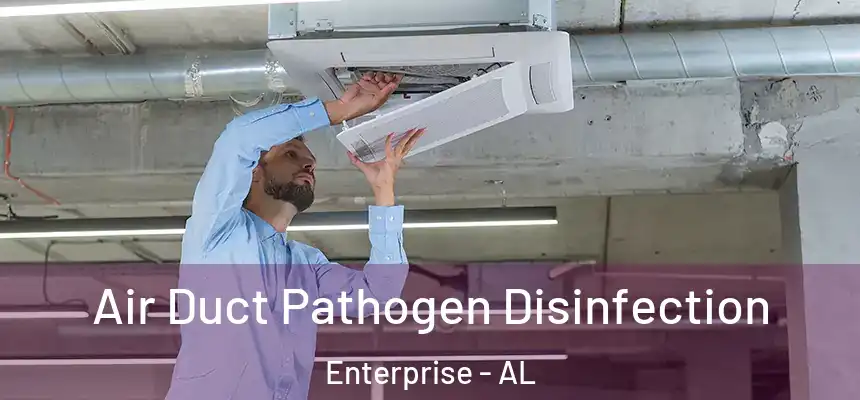  Air Duct Pathogen Disinfection Enterprise - AL