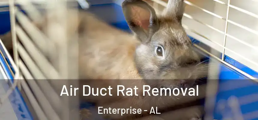  Air Duct Rat Removal Enterprise - AL