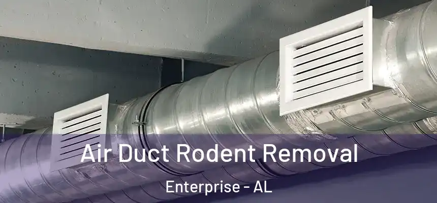  Air Duct Rodent Removal Enterprise - AL