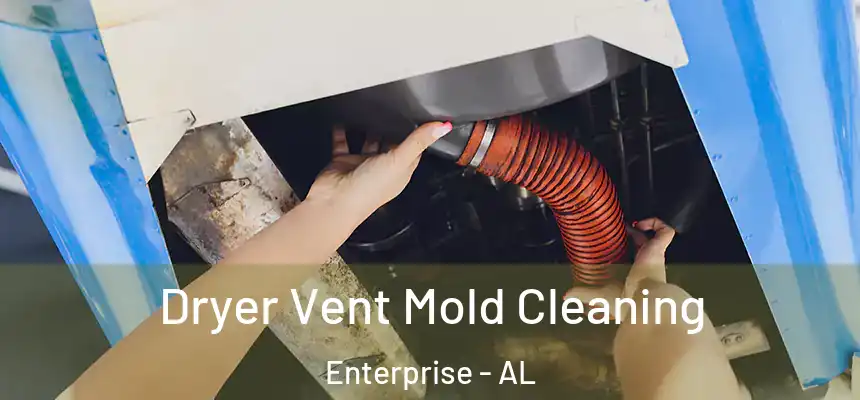  Dryer Vent Mold Cleaning Enterprise - AL