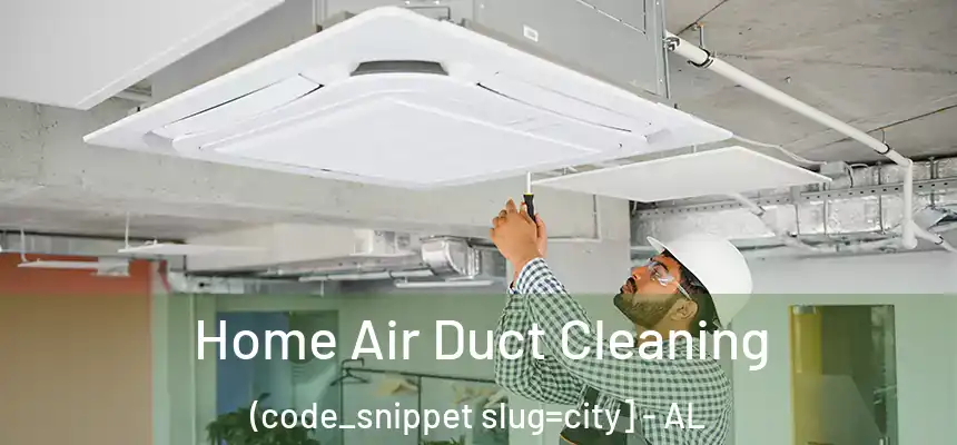  Home Air Duct Cleaning (code_snippet slug=city] - AL