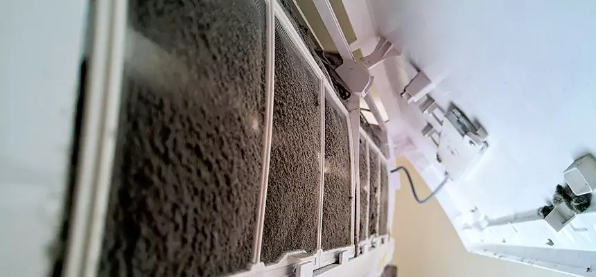 Preventive Air Duct Bacteria Removal in Enterprise