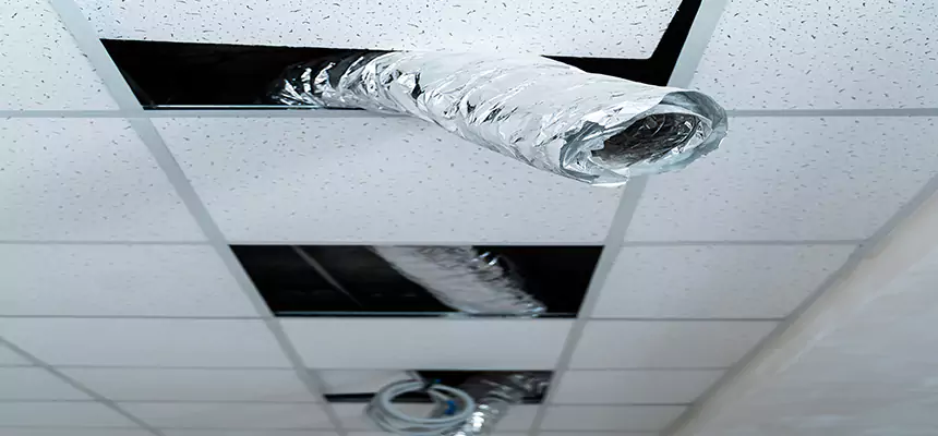 Our Air Duct Pet Hair Removal Services in Enterprise, AL