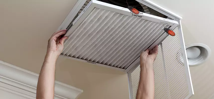 Our Insect Removal from Air Ducts Services in Enterprise, AL