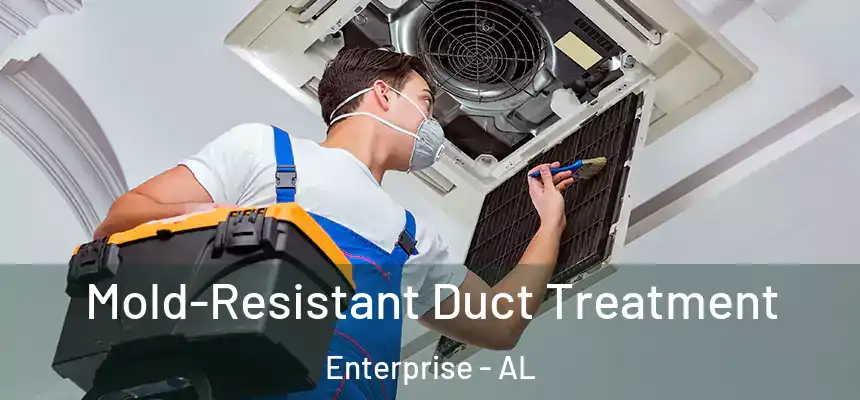  Mold-Resistant Duct Treatment Enterprise - AL