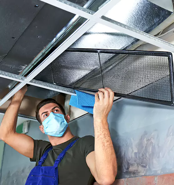 Professional Air Duct Pollen Cleaning in Enterprise, AL