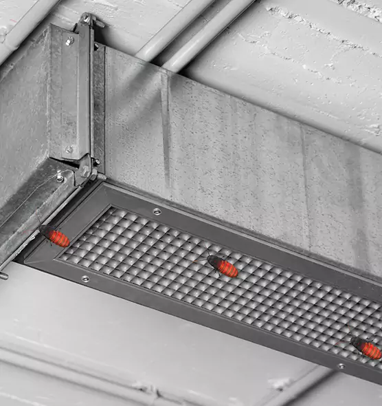 Affordable Insect Removal from Air Ducts in Enterprise, AL