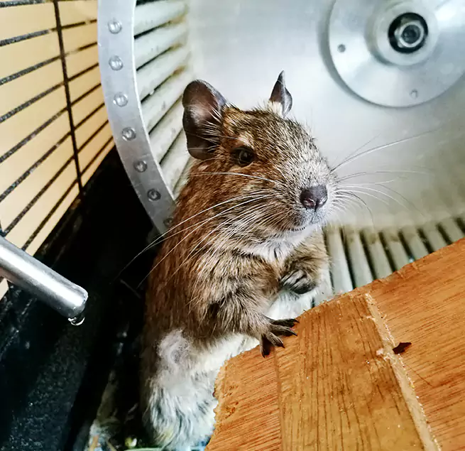 Why Homeowners & Businesses Trust Us Enterprise, AL?